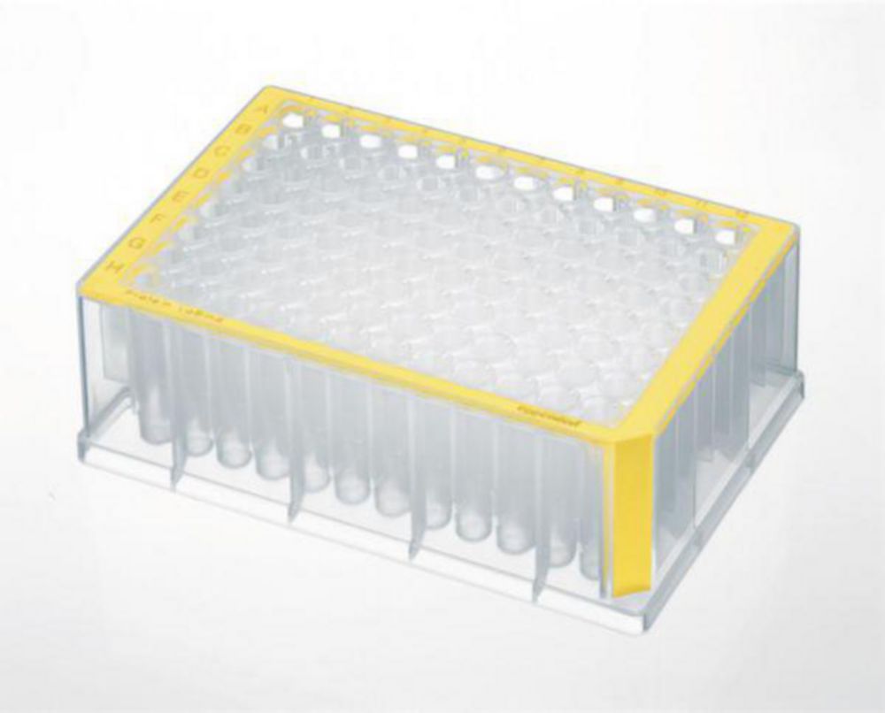 Deep-Well Plates Protein LoBind, 96/384-well, PP