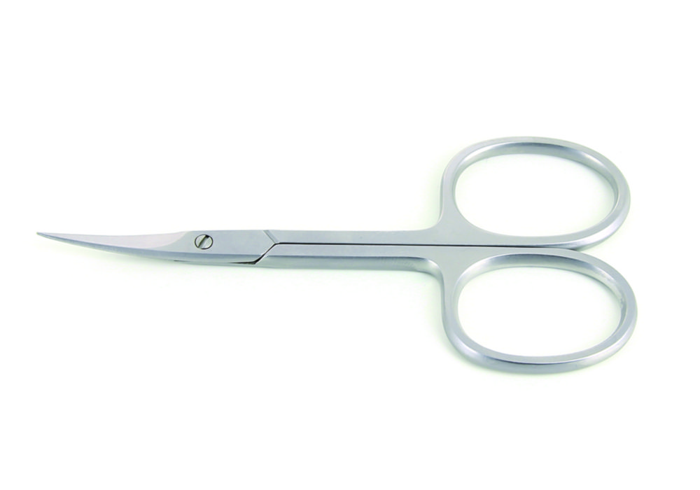 Scissors, stainless steel