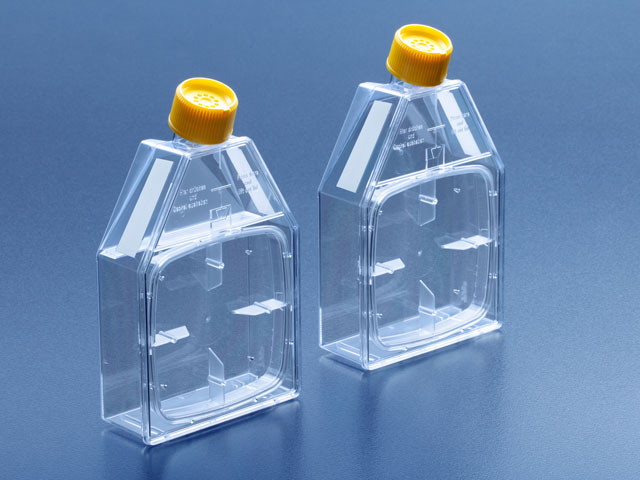 Cell culture bottle 25 cm², PS, with anchor film, PU = 70