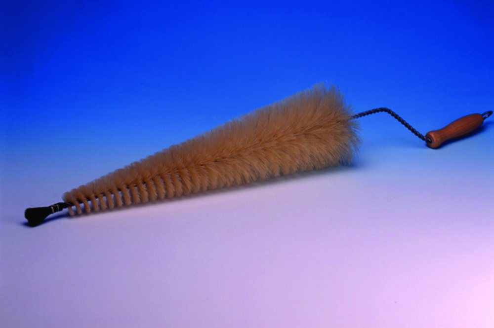 Cleaning brushes