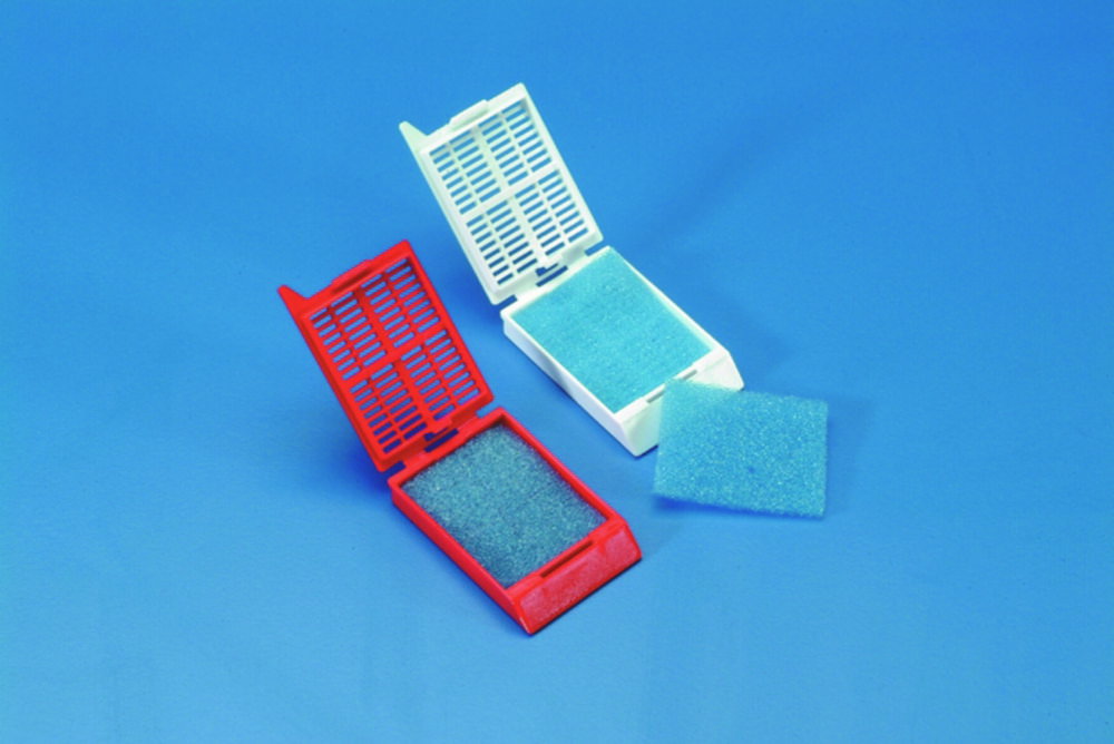 Sponge for Histology cassettes