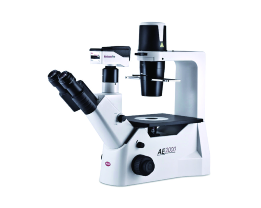 Inverted Routine microscope for live cell inspection, AE2000