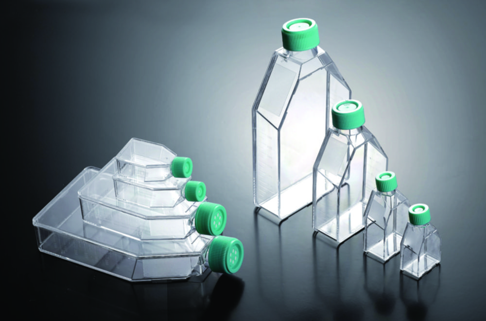 Cell culture flasks, treated, PS, sterile