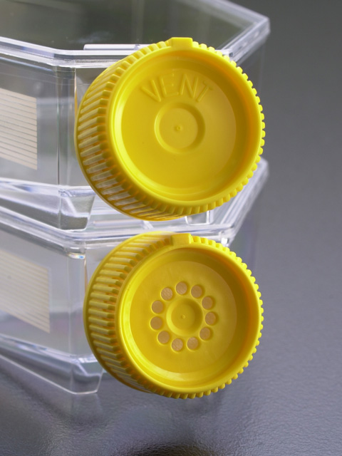 TPP screw cap (thread cap) for TPP cell culture bottles