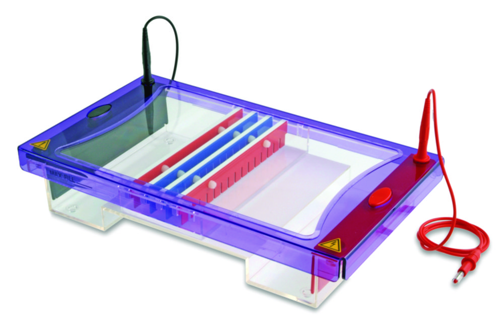 Elektrophoresekammern MultiSUB Maxi
