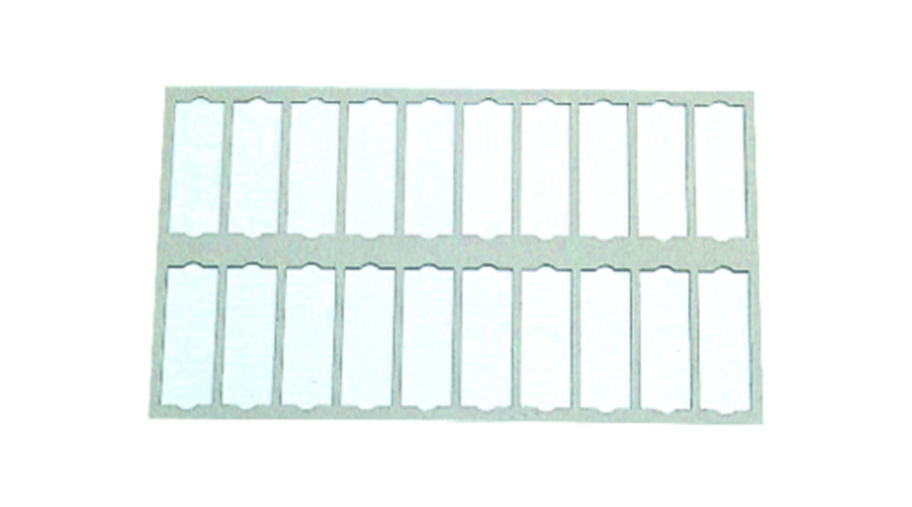 Microscope slide tray without lid